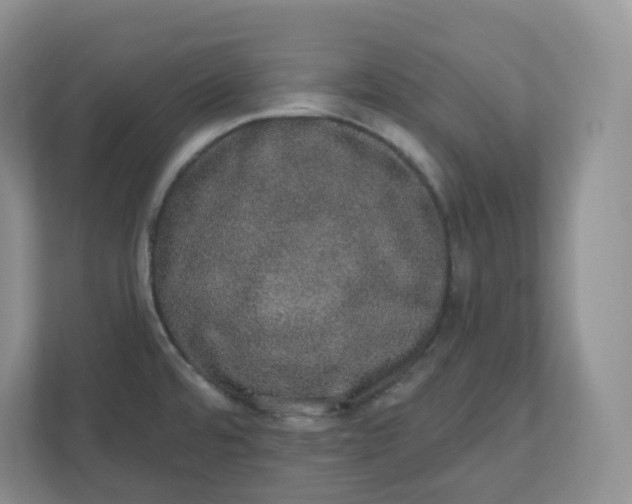 X0000110761480200906291018
