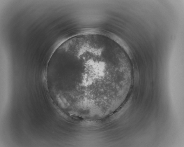 X0000110761481200906291018