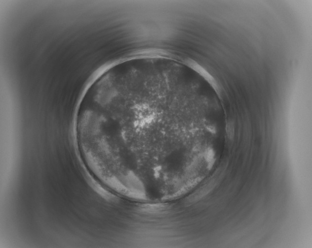 X0000110761482200906291018