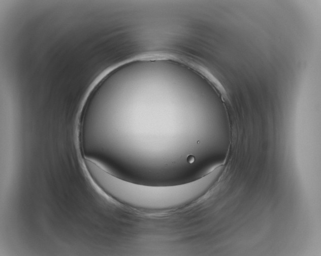 X0000110761484200906291018