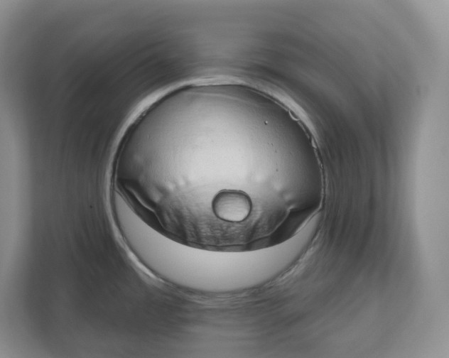 X0000110761485200906291018