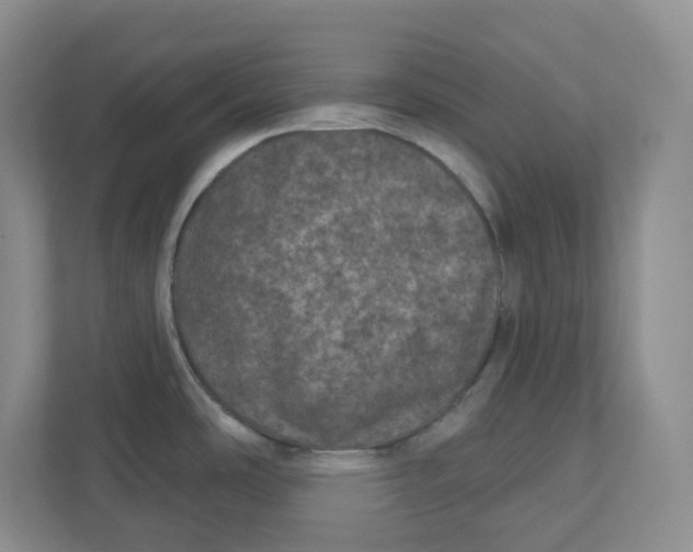 X0000110761486200906291018