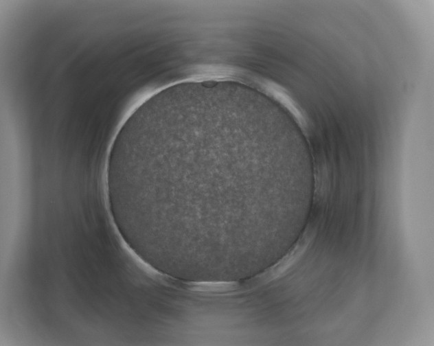 X0000110761487200906291018
