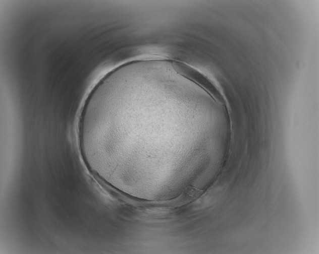 X0000110761488200906291018