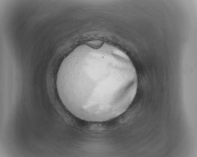 X0000110761489200906291017