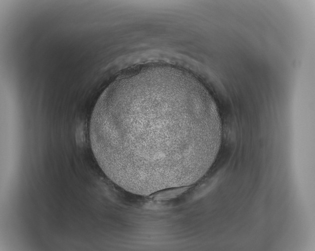 X0000110761490200906291017