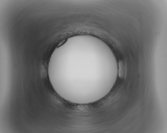 X0000110761491200906291017