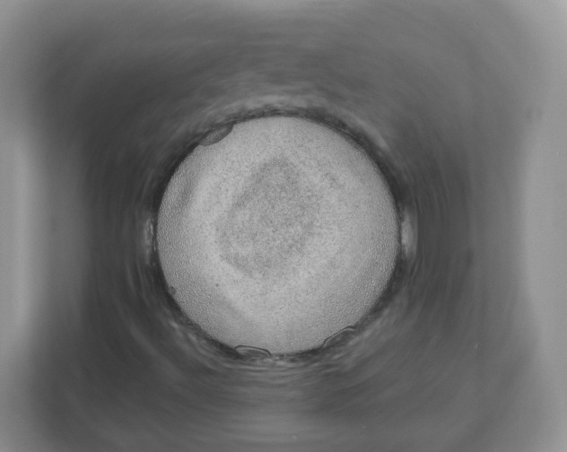X0000110761492200906291017