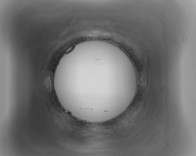 X0000110761493200906291017