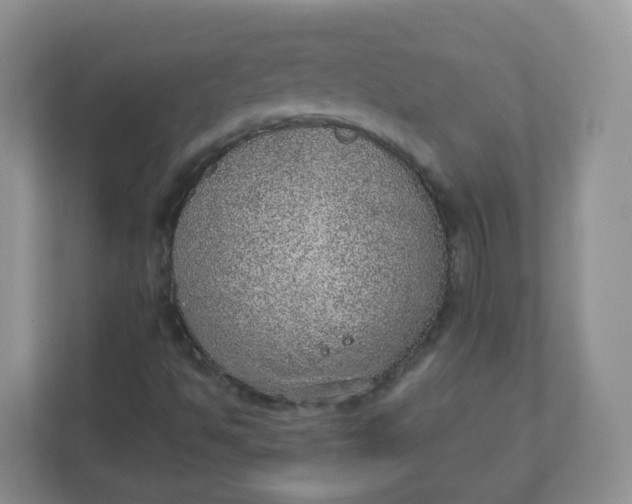 X0000110761494200906291017