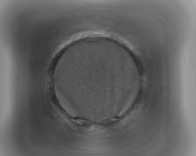 X0000110761496200906291017