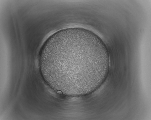 X0000110761501200906291017