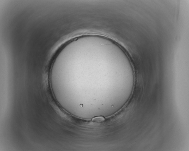 X0000110761503200906291017