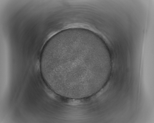 X0000110761505200906291018