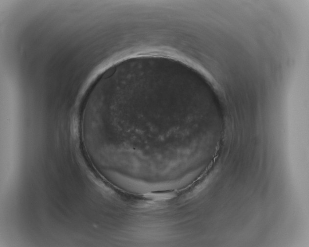 X0000110761506200906291018