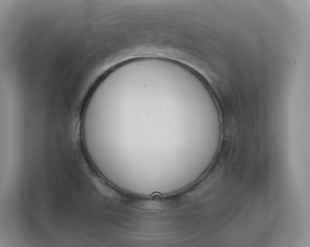 X0000110761507200906291018