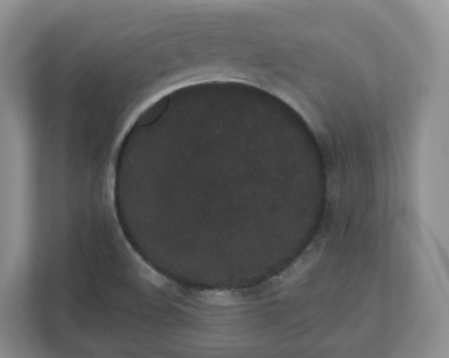 X0000110761508200906291018