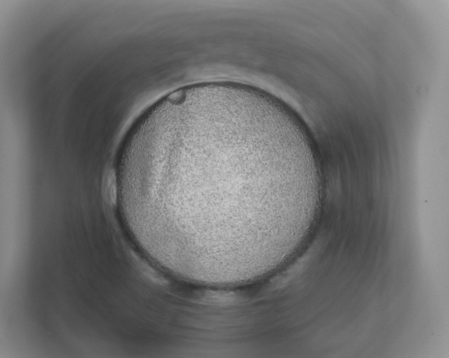 X0000110761509200906291018