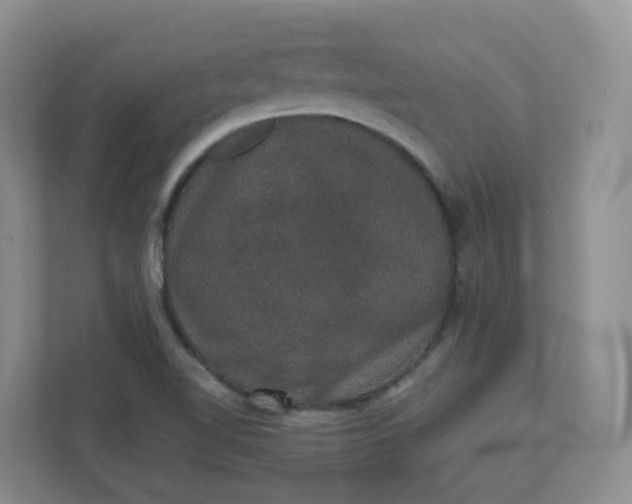 X0000110761510200906291018