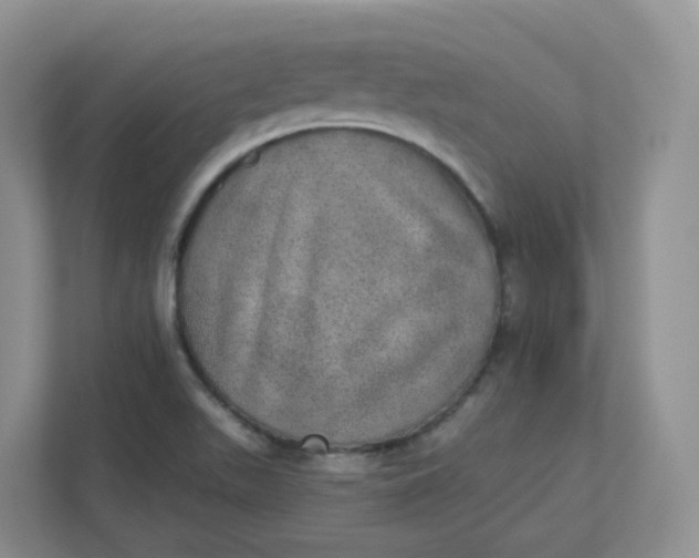 X0000110761511200906291018