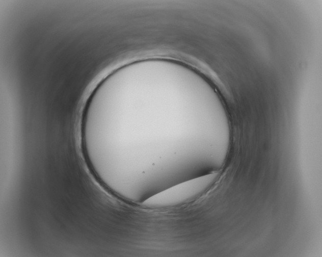 X0000110761512200906291018