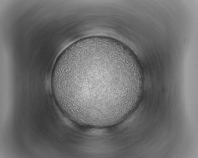 X0000110761513200906291018