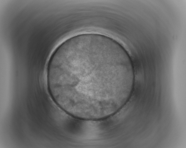 X0000110761514200906291018