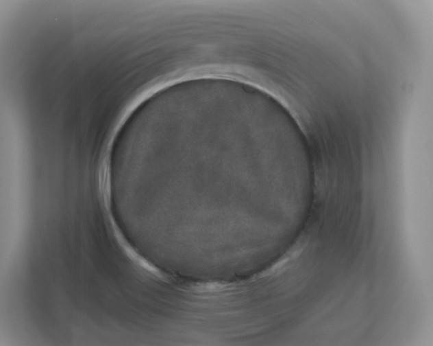 X0000110761515200906291018