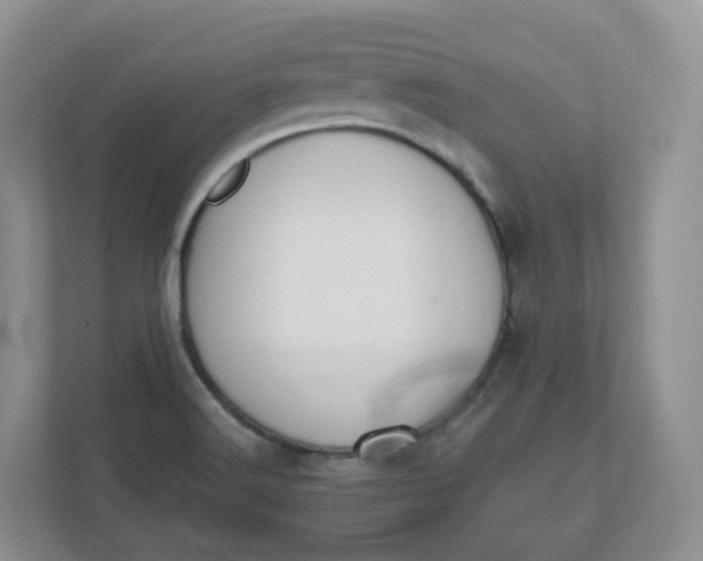 X0000110761516200906291018