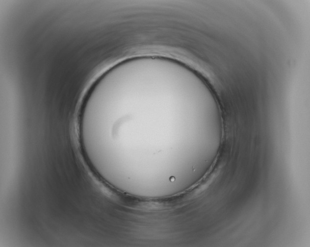 X0000110761517200906291018