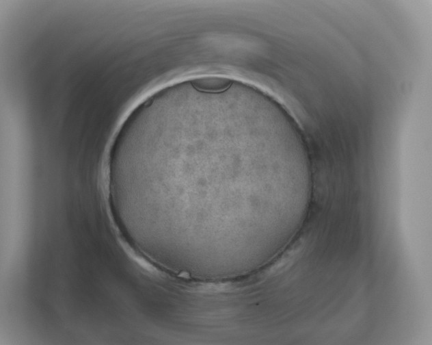 X0000110761519200906291018