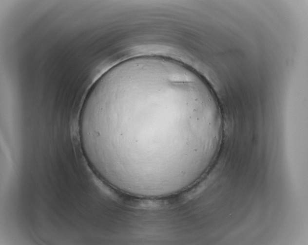 X0000110761521200906291018
