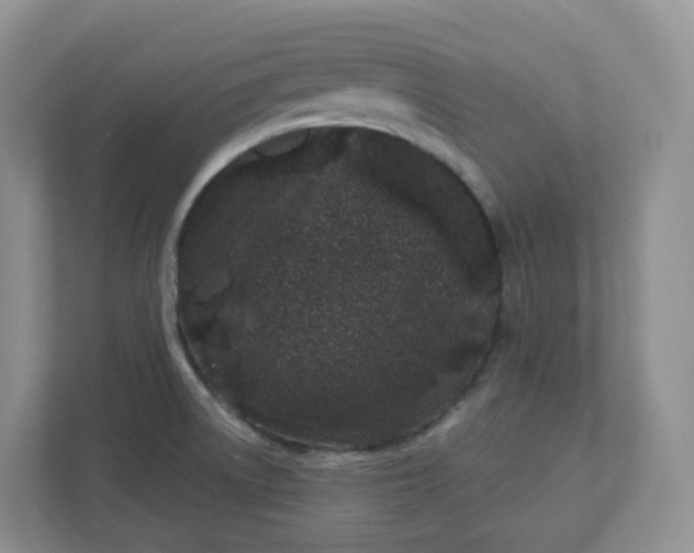 X0000110761522200906291018