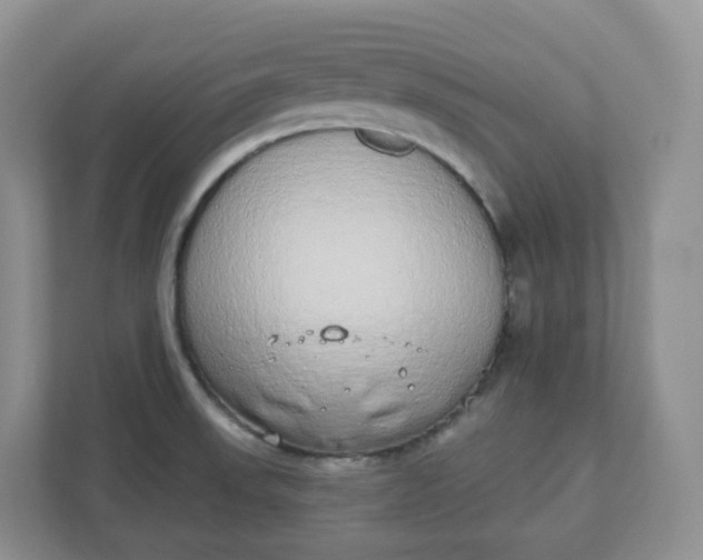X0000110761523200906291018