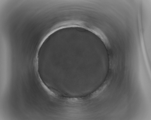 X0000110761524200906291018