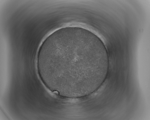 X0000110761525200906291018