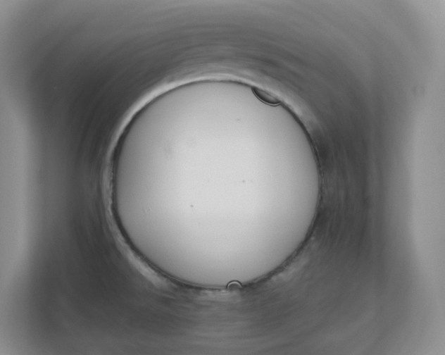 X0000110761526200906291018
