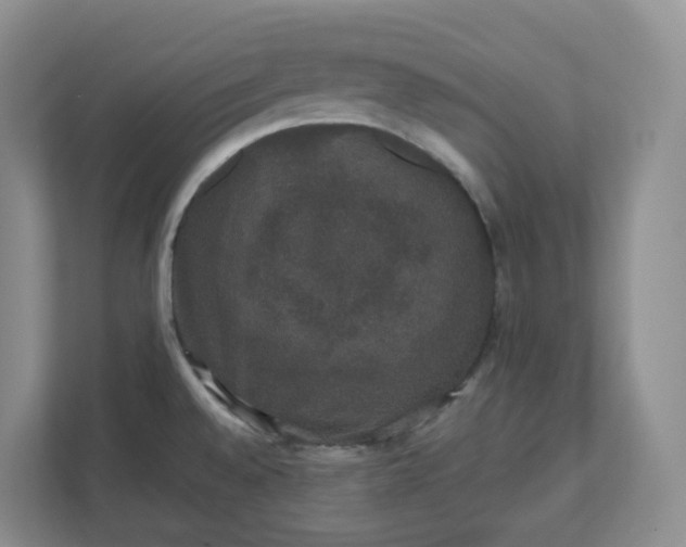 X0000110761528200906291018