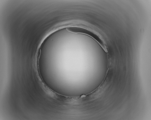 X0000110761530200906291018