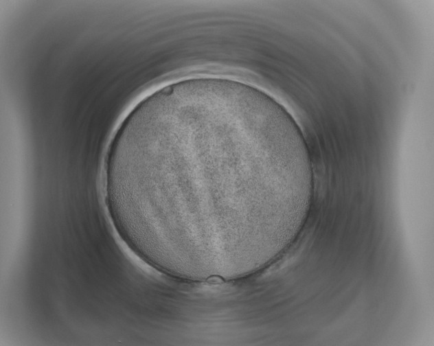 X0000110761531200906291018
