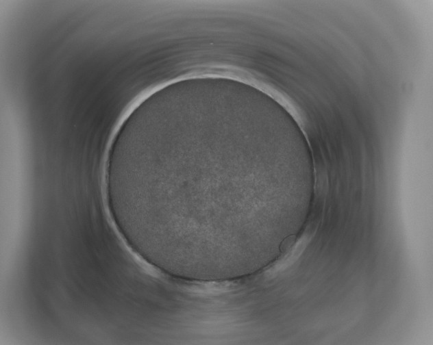 X0000110761533200906291018
