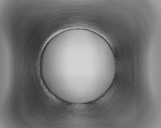 X0000110761534200906291018