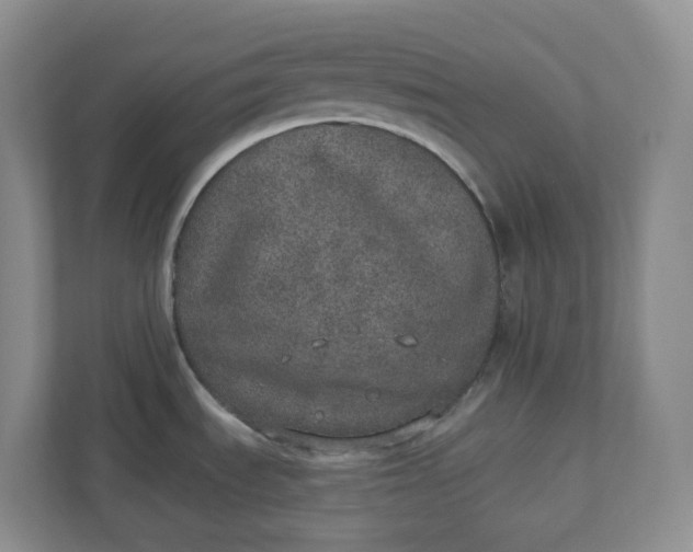 X0000110761535200906291018