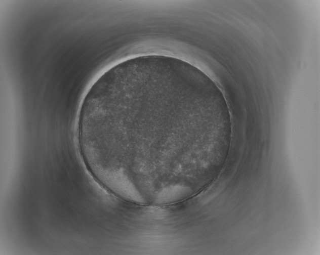 X0000110761536200906291018