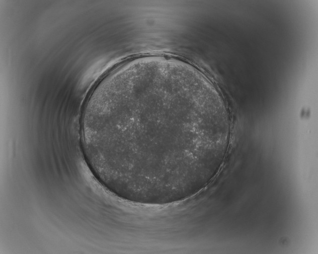 X0000110760002200907061106
