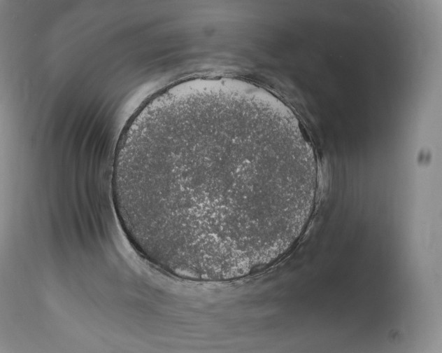 X0000110760003200907061106