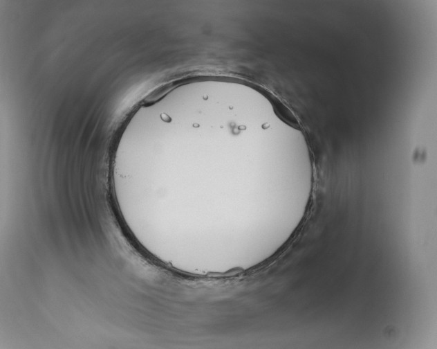 X0000110760005200907061106