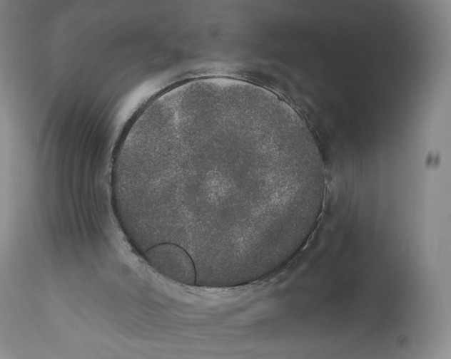 X0000110760006200907061106