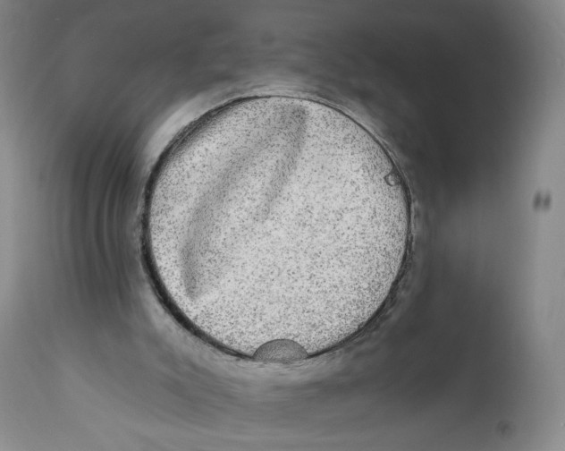 X0000110760007200907061106
