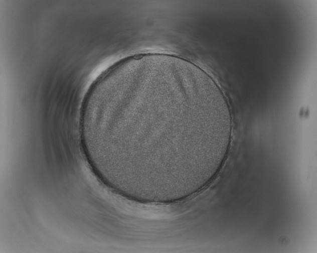 X0000110760008200907061106